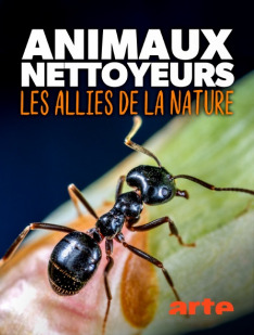 Nature's Cleanup Crew