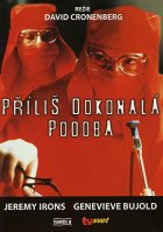 Příliš dokonalá podoba