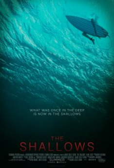 The Shallows