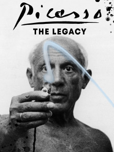 Picasso, the Legacy