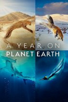 A Year on Planet Earth