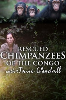 Útulek pro záchranu šimpanzů Jane Goodallové