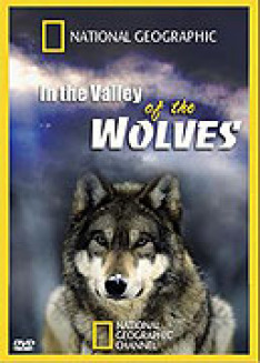 Valley Of The Wolves