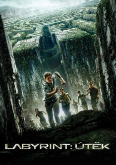 Maze Runner