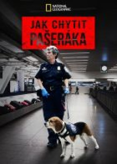 Jak chytit pašeráka: Boj s kokainem