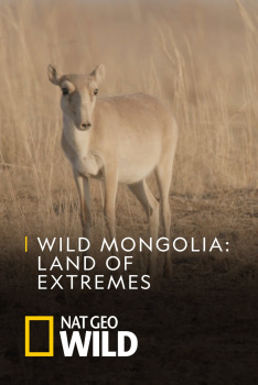 Destination Wild: Wild Mongolia