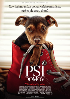 Psí domov