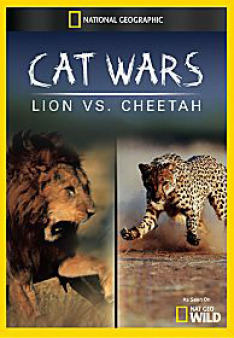 Cat Wars: Lion Vs. Cheetah