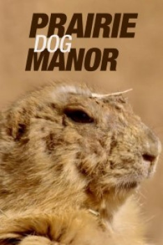 Prairie Dog Manor