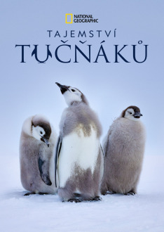 Tajemství tučňáků