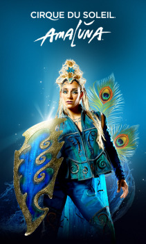 Cirque du Soleil: Amaluna