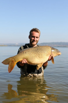 Monster Carp