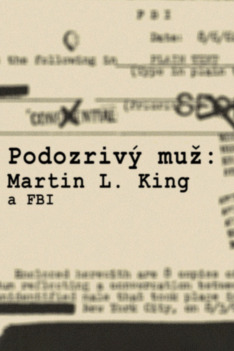 Podozrivý muž: Martin L. King a FBI