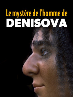 Tajemní denisovci