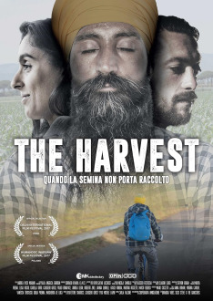 The Harvest