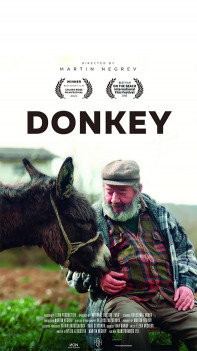 Donkey