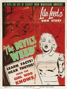 Marijuana, the Devil's Weed