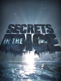 Secrets in the Ice