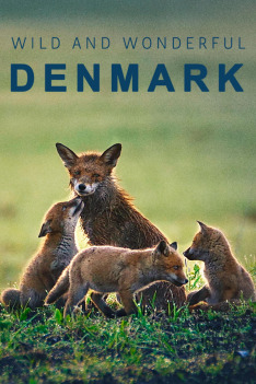 Wild and Wonderful Denmark