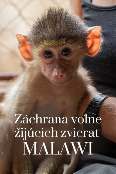 Záchrana voľne žijúcich zvierat v Malawi