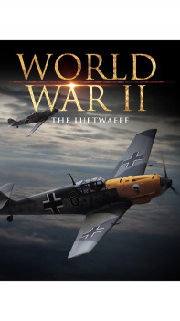 The Luftwaffe in World War II