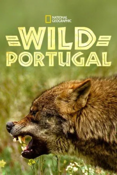 Divoké Portugalsko (1)