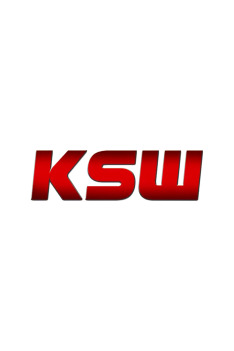 KSW MMA: KSW 107: De Fries vs. Wrzosek (KSW MMA)