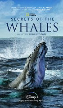 Secrets of the Whales