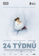 24 týdnů